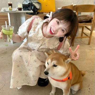 烟花恋